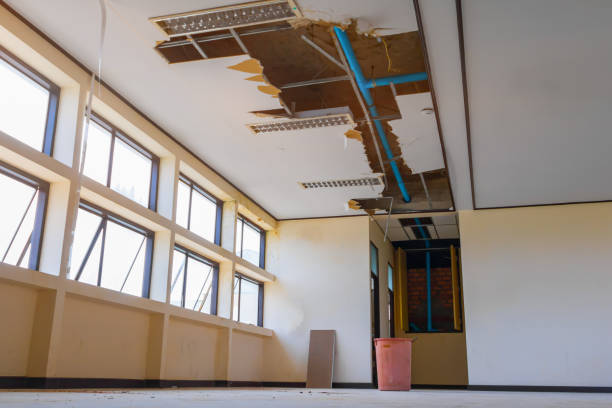  Glen Dale, WV Water damage restoration Pros