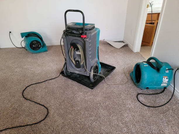 Best Water damage contractors near me  in Glen Dale, WV