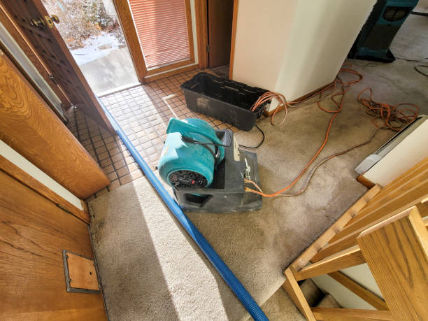 Best Basement water damage restoration  in Glen Dale, WV