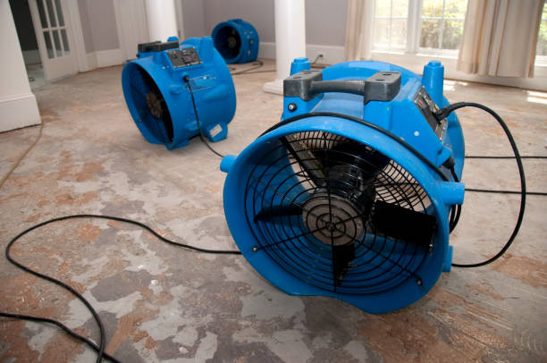 Best 24/7 water damage repair  in Glen Dale, WV