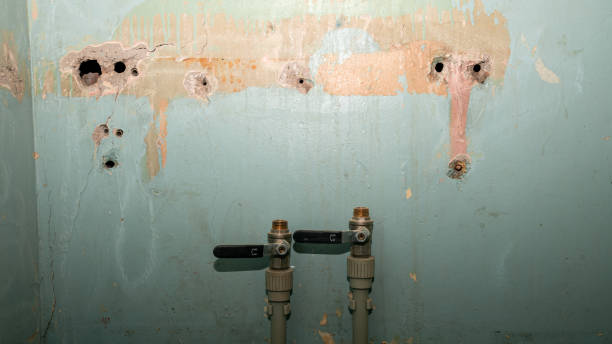 Best Flood damage cleanup  in Glen Dale, WV