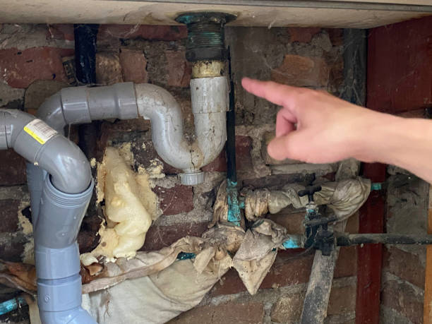 Best Water damage restoration mold remediation  in Glen Dale, WV