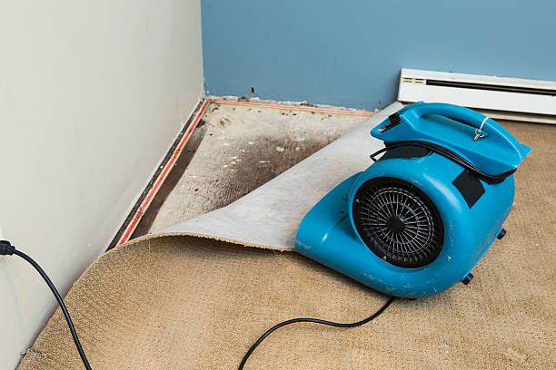 Best Flooded house restoration  in Glen Dale, WV