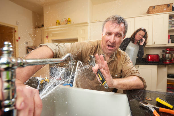 Best Water damage cleanup near me  in Glen Dale, WV